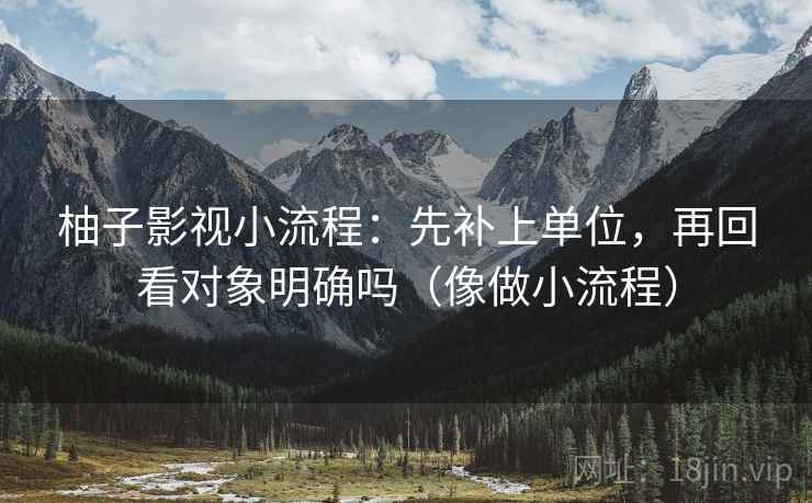 柚子影视小流程：先补上单位，再回看对象明确吗（像做小流程）