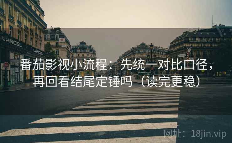 番茄影视小流程：先统一对比口径，再回看结尾定锤吗（读完更稳）